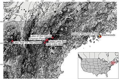 Early Holocene plant macrofossils indicate cool refugia for subalpine plant taxa in Acadia National Park, Maine